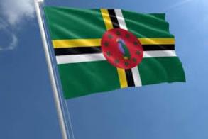 Dominica Citizenship Applications in Three Months